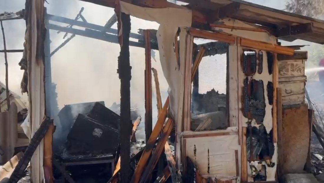 Balıkesir’in Gönen ilçesine bağlı Tırnova Mahallesi’nde, mezarlık arkasındaki çamlık alanda