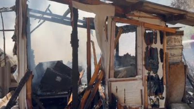 Balıkesir’in Gönen ilçesine bağlı Tırnova Mahallesi’nde, mezarlık arkasındaki çamlık alanda