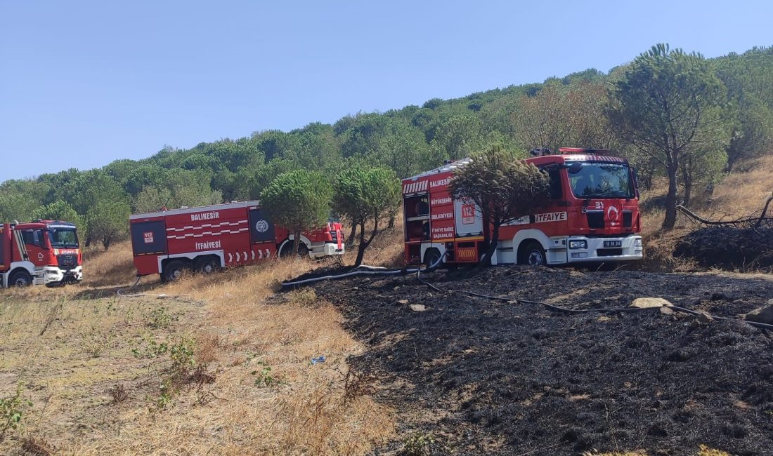 Balıkesir’in Susurluk ilçesi Yeniköy yakınlarında çıkan arazi ve ormanlık alan