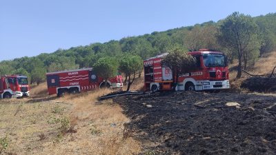 Balıkesir’in Susurluk ilçesi Yeniköy yakınlarında çıkan arazi ve ormanlık alan