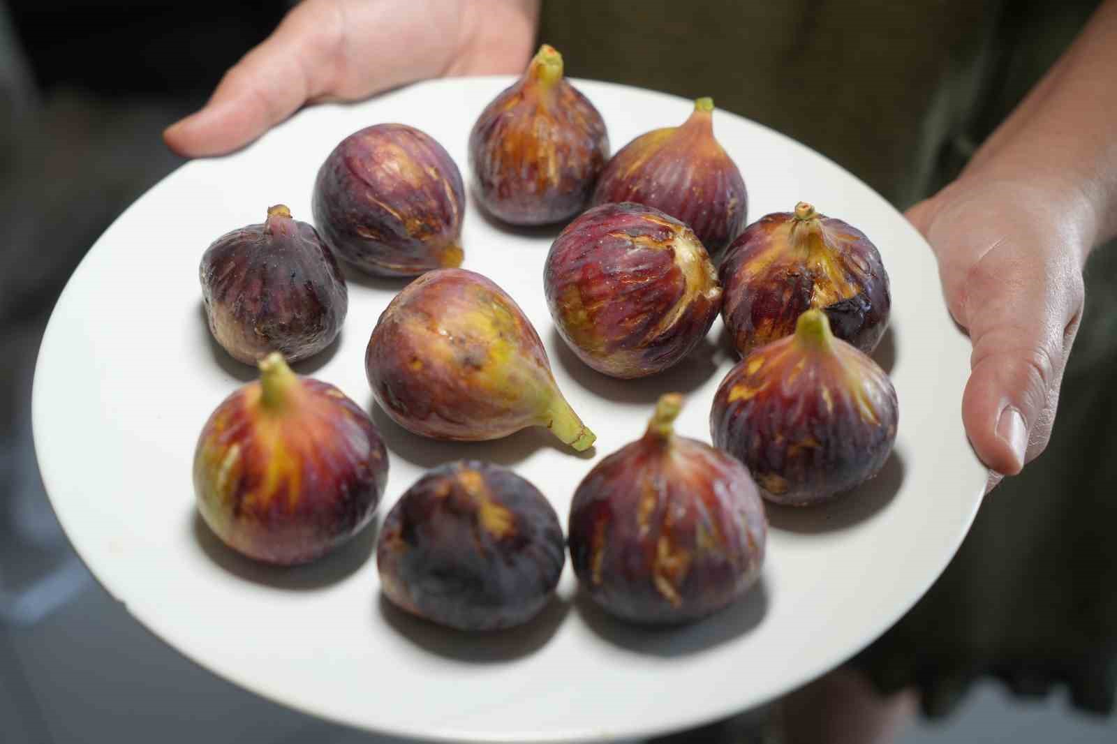 Balıkesir’de faaliyet gösteren AR-GE firması sahibi Faruk Durukan, incirin sağlık