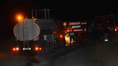 Balıkesir’in Ayvalık ilçesi Cunda Adası’nda makilik alanda çıkan yangın korkuttu.