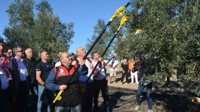Türkiye’nin en önemli zeytin ve zeytinyağı merkezlerinden biri olarak kabul