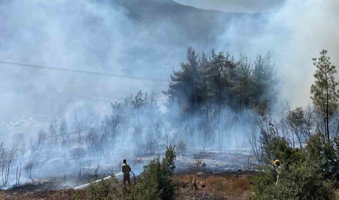 Balıkesir’in Sındırgı ilçesi Binmurt mevkiinde orman yangını çıktı. Bağevlerine yakın