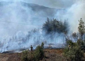 Balıkesir’in Sındırgı ilçesi Binmurt mevkiinde orman yangını çıktı. Bağevlerine yakın