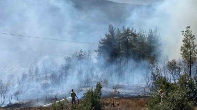 Balıkesir’in Sındırgı ilçesi Binmurt mevkiinde orman yangını çıktı. Bağevlerine yakın