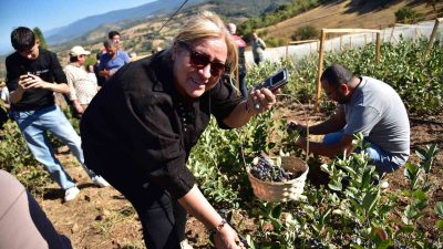 Balıkesir’in Sındırgı ilçesinde Çıkrıkçı Mahallesi’nde bu yıl ikincisi düzenlenen Aronya