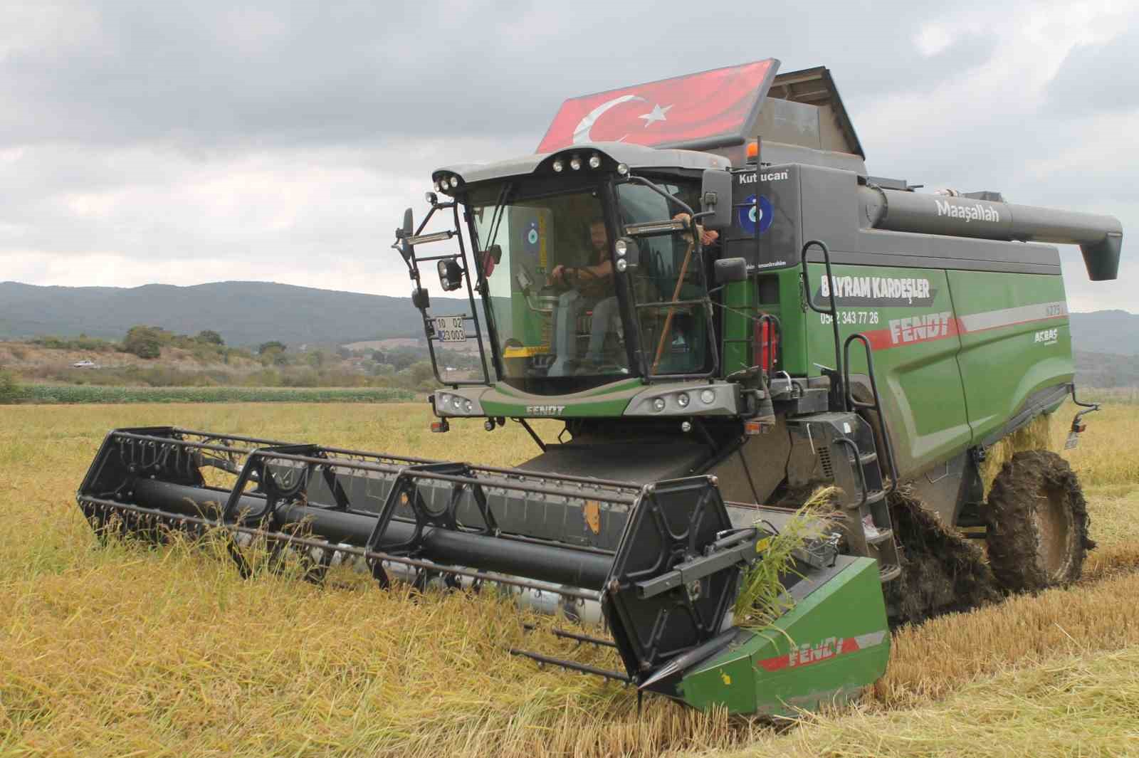 Balıkesir’in Manyas ilçesinde 100 bin dekarlık alanda çeltik hasadı başladı.