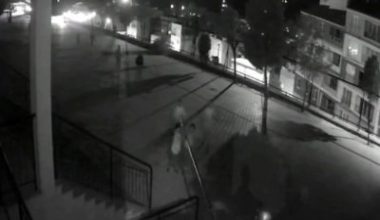 Balıkesir’in Erdek ilçesinde şiddetli rüzgar nedeniyle okul bahçesindeki bayrak direği