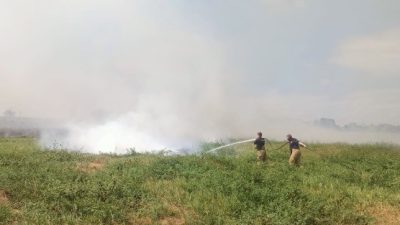  Manyas'ın Eşen Mahallesi ile Bandırma'nın Ergili Mahallesi arasındaki sazlık