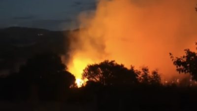 Balıkesir’in Dursunbey ilçesinde akşam saatlerinde yol kenarında başlayıp ormanlık alana
