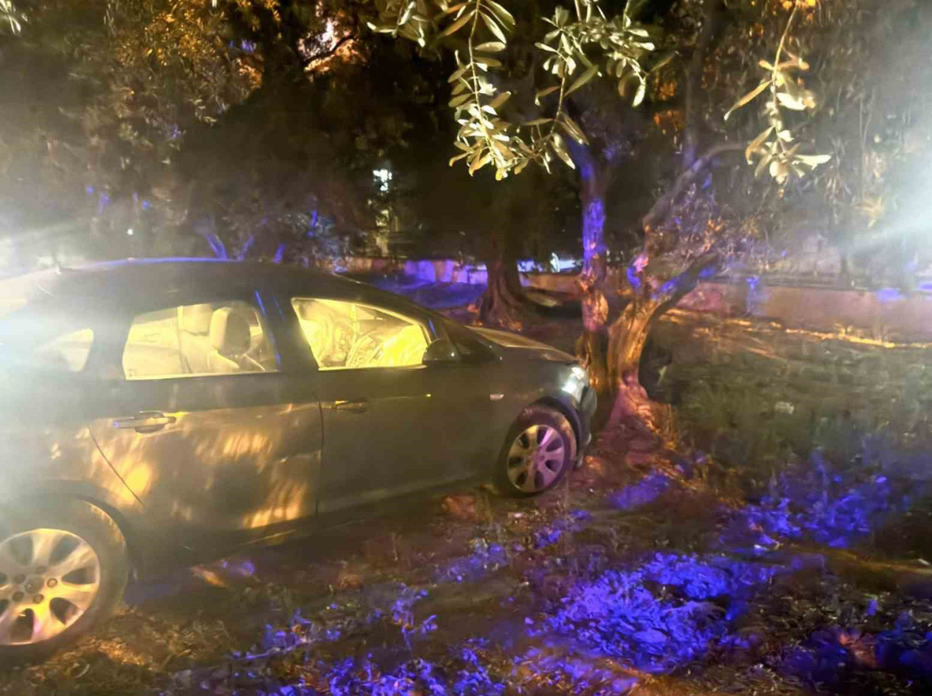 Erdek’te kontrolden çıkan otomobil zeytin bahçesine girdi. Kazada 1 kişi