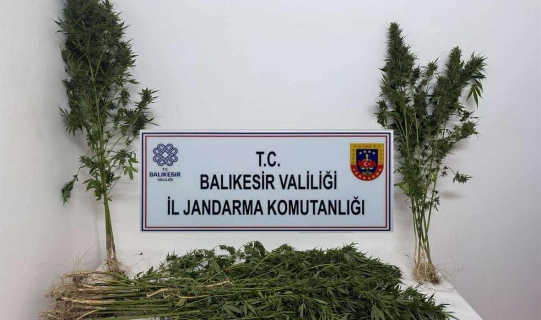 Balıkesir İl Jandarma Komutanlığı ekipleri, 15-21 Eylül 2025 tarihleri arasında