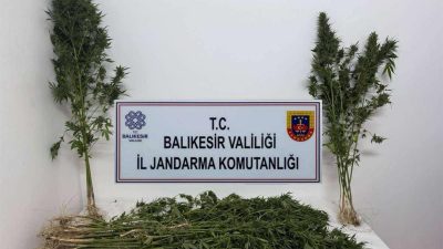 Balıkesir İl Jandarma Komutanlığı ekipleri, 15-21 Eylül 2025 tarihleri arasında