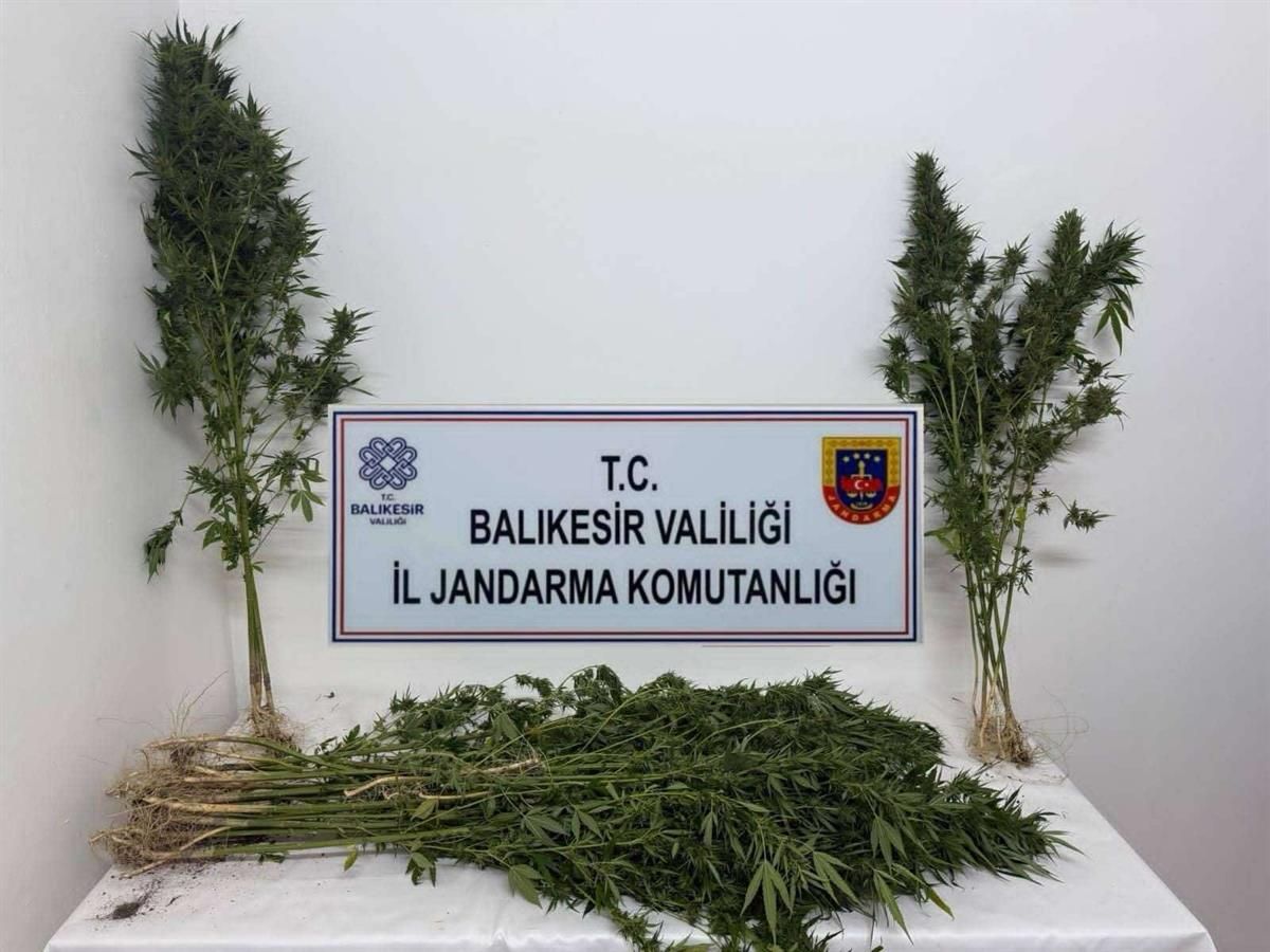 Balıkesir İl Jandarma Komutanlığı ekipleri, 15-21 Eylül 2025 tarihleri arasında