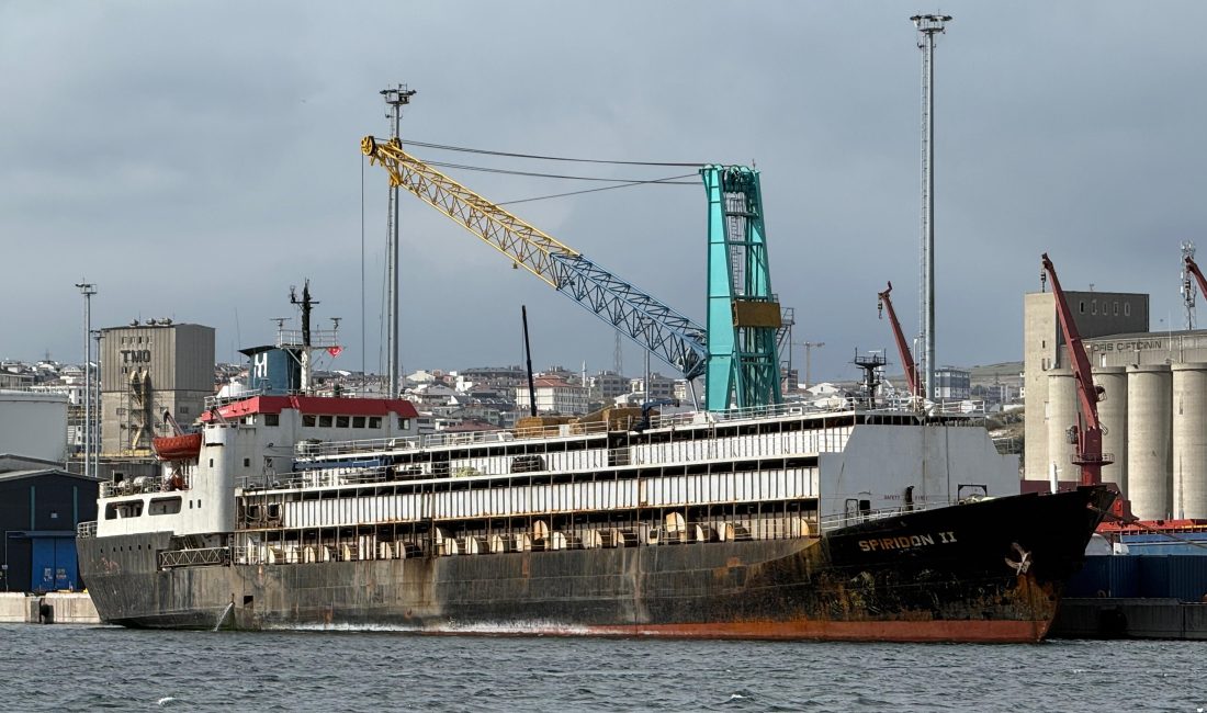 Bandırma Limanı’nda “Spiridon-II” krizi: İthal hayvanlar günlerdir mahsur Balıkesir’in Bandırma ilçesinde çevre ve halk sağlığı endişeleri, “Spiridon-II” isimli