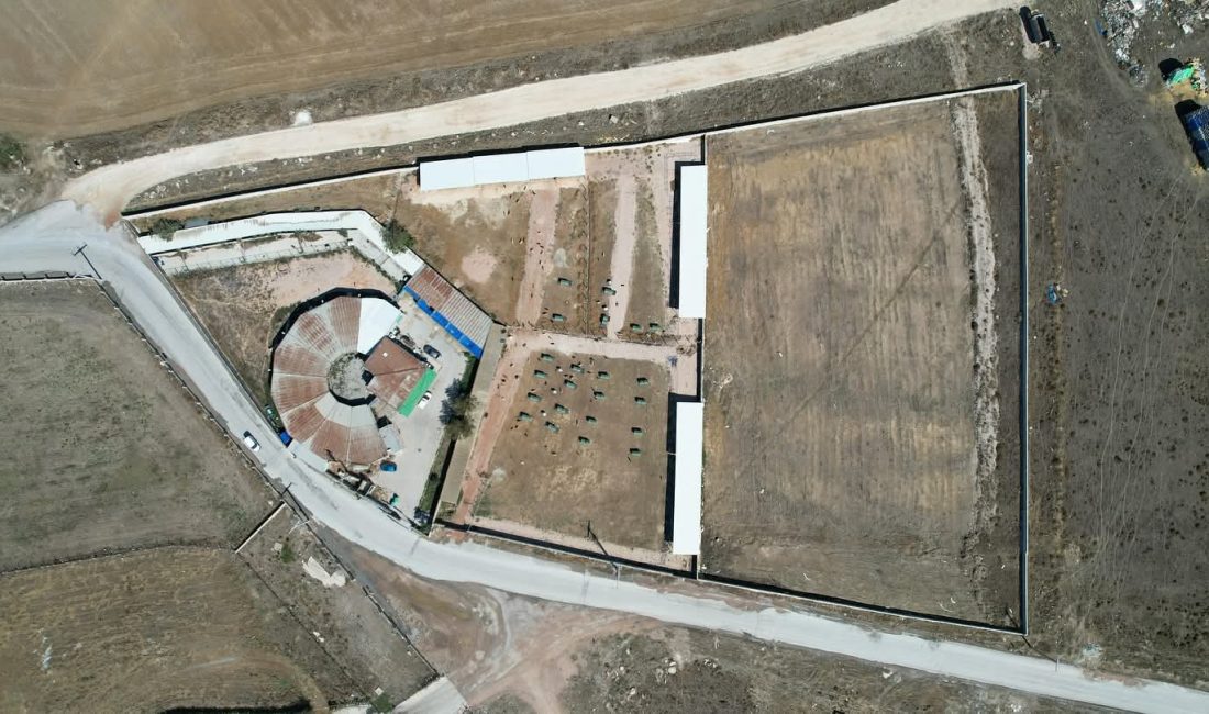 Bandırma Belediyesi, sokak hayvanlarının yaşam koşullarını iyileştirmek amacıyla barınakta yürütülen