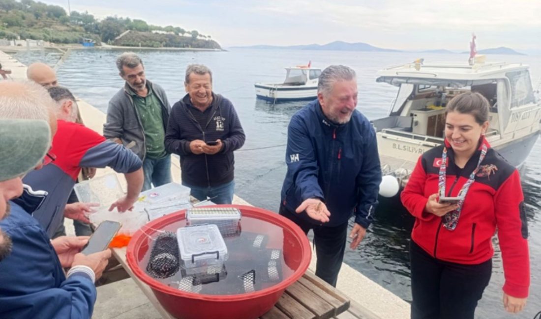 Balıkesir’in Marmara ilçesi Gündoğdu Mahallesi açıklarında, 400 adet 4 kuşak