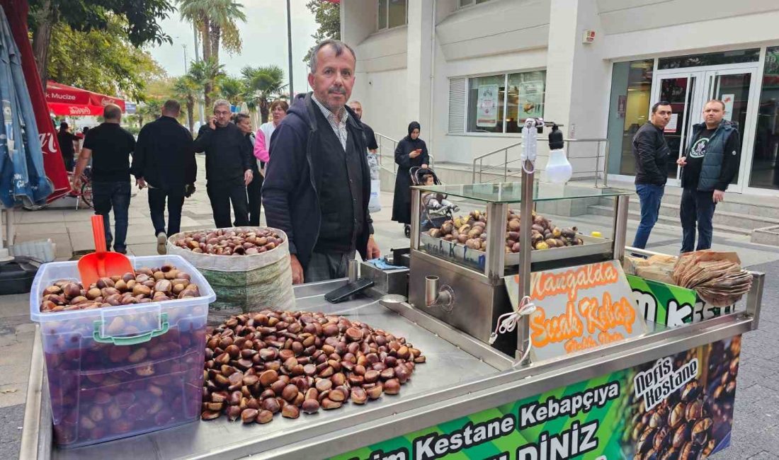 Kestane tezgahlarda yerini aldı Bandırma’da soğuk havaların habercisi kestane sezonu başladı. Hasadın ardından kestane