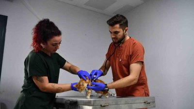 Türkiye’ye örnek olacak bir sahiplendirme projesini hayata geçiren Balıkesir Büyükşehir