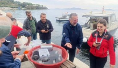 Balıkesir’in Marmara ilçesi Gündoğdu Mahallesi açıklarında, 400 adet 4 kuşak