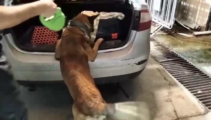 Kedi taşıma çantasında 2 kilo uyuşturucu ele geçirildi Balıkesir'in Edremit ilçesinde polis ekiplerinin düzenlediği operasyonda, bir otomobilde kedi