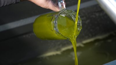 Ayvalık Ticaret Odası Başkanı Ali Uçar, Türkiye genelinde satılan zeytinyağının