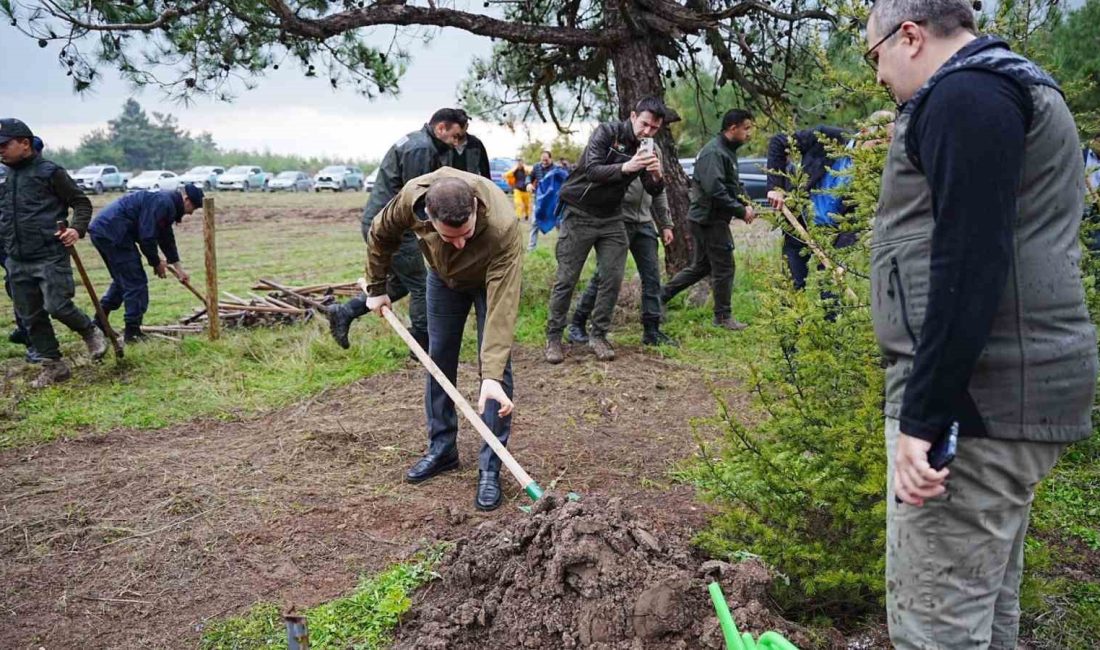 Balıkesir’in Sındırgı ilçesinde 11 Kasım Milli Ağaçlandırma Günü kapsamında düzenlenen