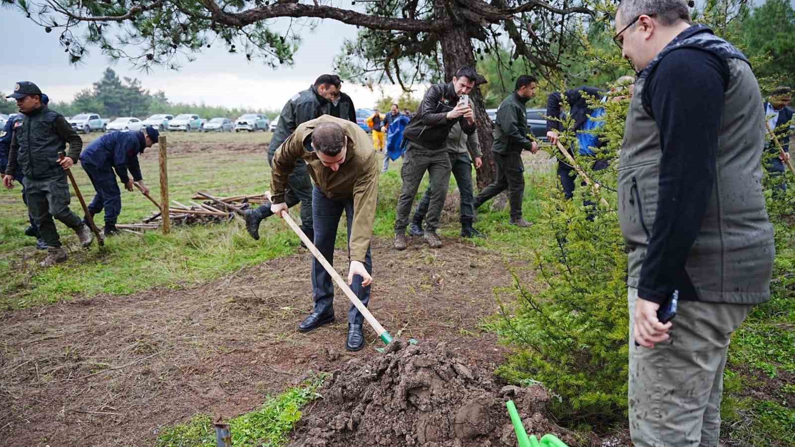 Balıkesir’in Sındırgı ilçesinde 11 Kasım Milli Ağaçlandırma Günü kapsamında düzenlenen