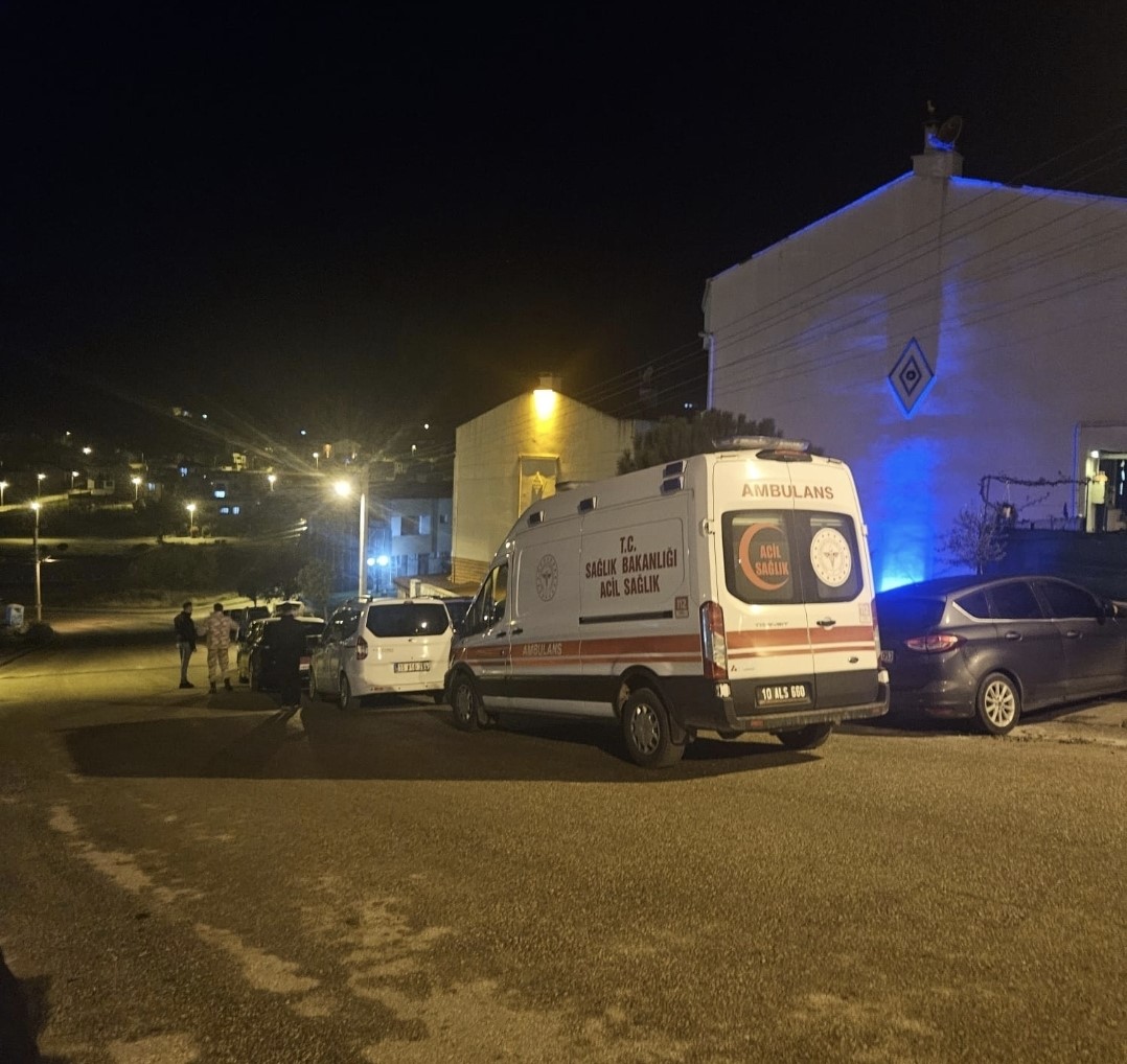 Gürcistan sınırında askeri kargo uçağının düşmesi sonucu şehit olan Hava