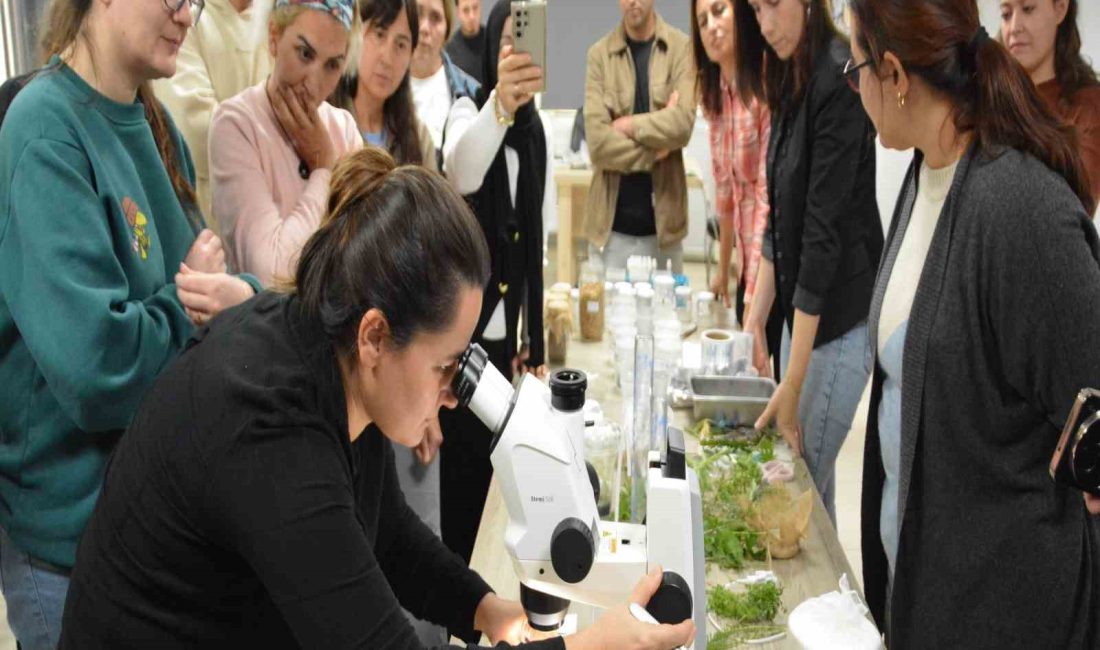 BAÇEM’de 5. Bitki Doku Kültürü kursu tamamlandı Balıkesir Büyükşehir Belediyesi Kırsal Hizmetler Dairesi Başkanlığına bağlı Balıkesir Çiftçi