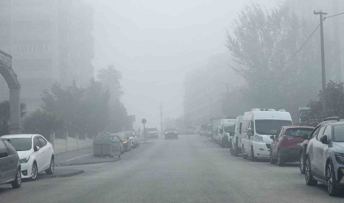 Bandırma yeni haftaya yoğun sisle uyandı. Sabah erken saatlerde etkisini