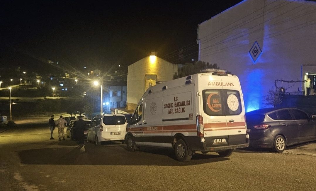 Şehit ateşi Balıkesir’e düştü Gürcistan sınırında askeri kargo uçağının düşmesi sonucu şehit olan Hava
