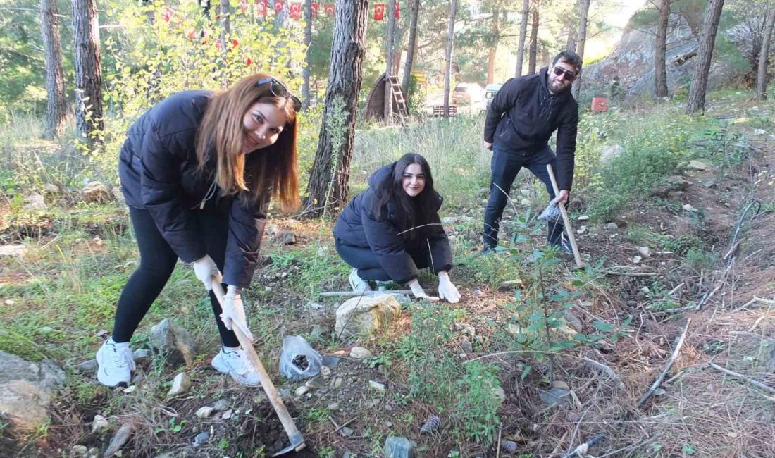 Balıkesir’in Edremit ilçesinde üç yıl önce hayata geçirilen Kazdağları Bal