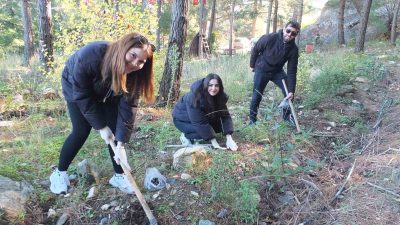 Balıkesir’in Edremit ilçesinde üç yıl önce hayata geçirilen Kazdağları Bal