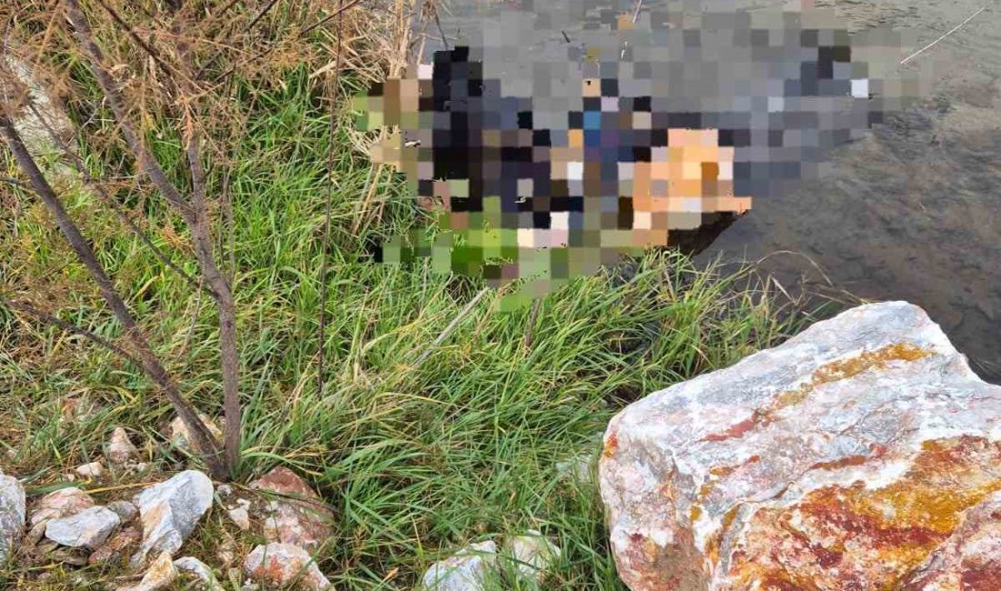 Balıkesir’in Dursunbey ilçesinde geçmenin yasak olduğu tren köprüsünden yürüyen bir