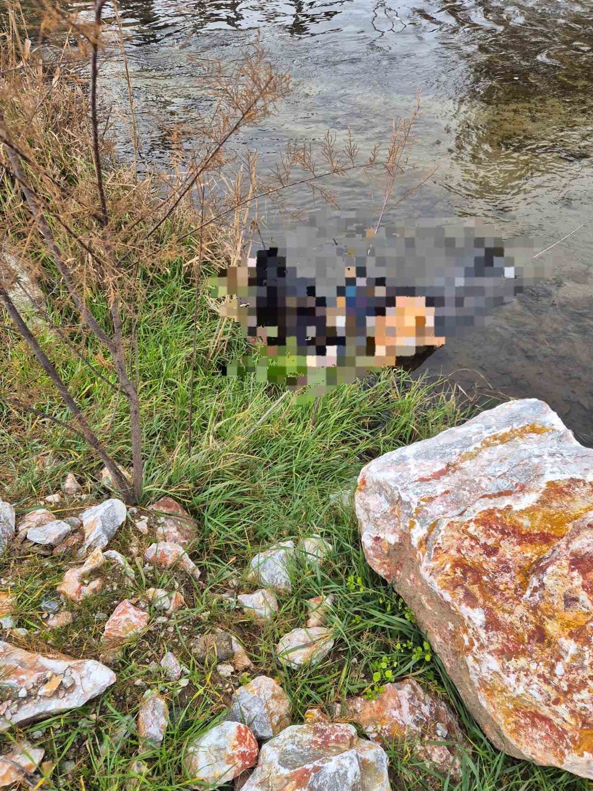 Balıkesir’in Dursunbey ilçesinde geçmenin yasak olduğu tren köprüsünden yürüyen bir