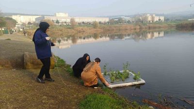 Balıkesir’de su kirliliğine bitkisel çözüm olarak, "Yüzen Bitki Adacıklarıyla Su