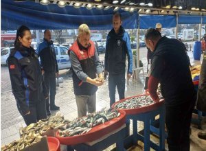 Balıkesir’in Bandırma ilçesi Balık Hali’nde "uskumru" adıyla satışa sunulan küçük