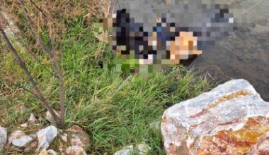 Balıkesir’in Dursunbey ilçesinde geçmenin yasak olduğu tren köprüsünden yürüyen bir