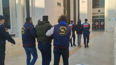 Balıkesir’in Edremit ilçesinde, 100 dönümden fazla zeytinlikte gerçekleşen hırsızlık olayı,