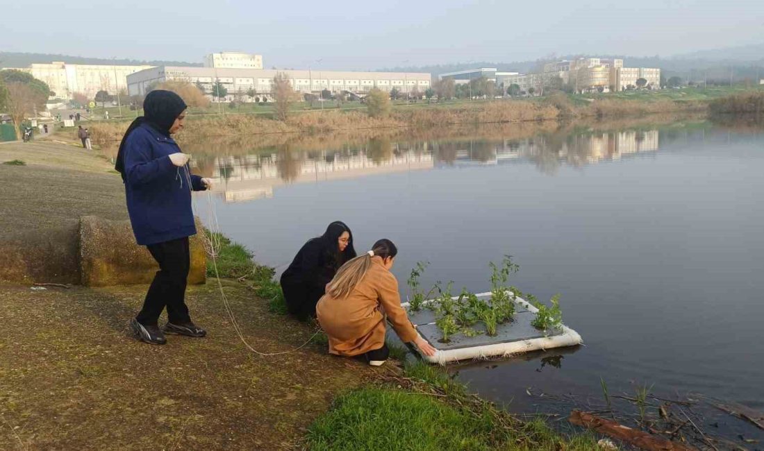 Balıkesir’de su kirliliğine bitkisel çözüm olarak, "Yüzen Bitki Adacıklarıyla Su