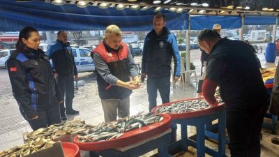 Balıkesir’in Bandırma ilçesi Balık Hali’nde "uskumru" adıyla satışa sunulan küçük