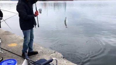 Balıkesir’in Bandırma ilçesinde, sahilde bulunan L İskele sabahın erken saatlerinden