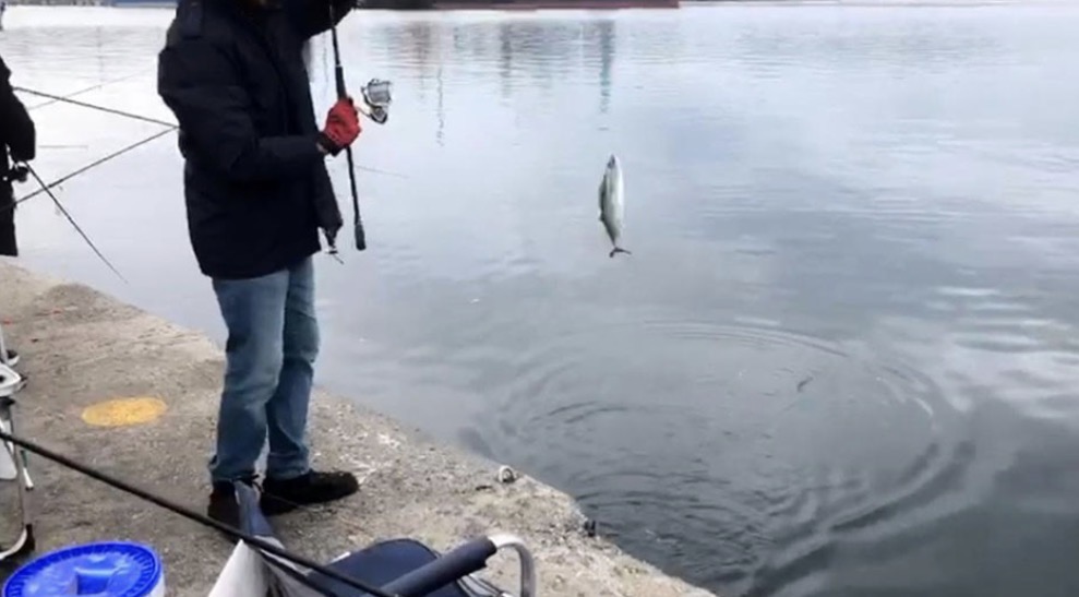 Balıkesir’in Bandırma ilçesinde, sahilde bulunan L İskele sabahın erken saatlerinden