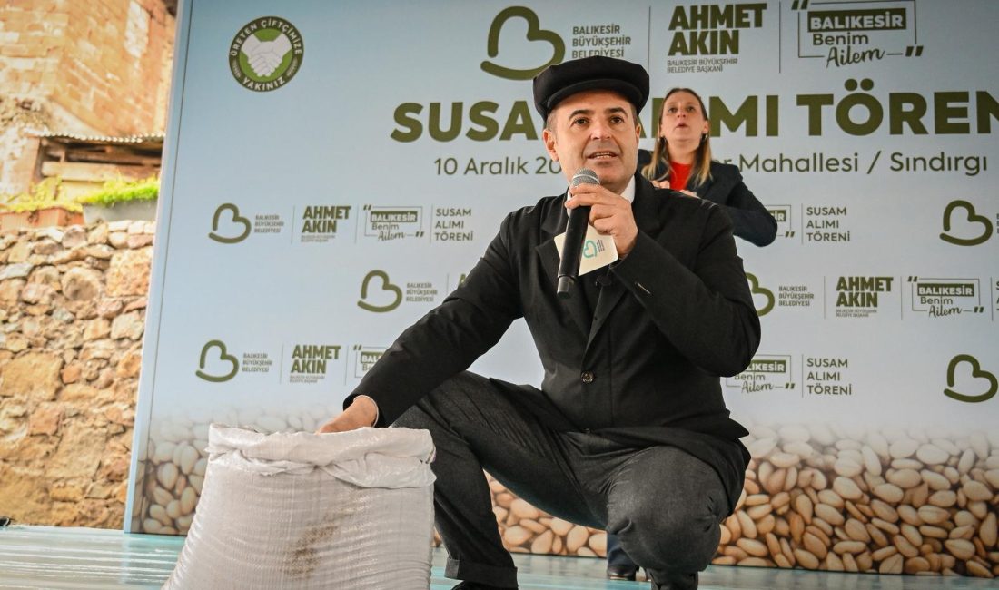 Balıkesir Büyükşehir Belediyesi, susam üreticilerini bu yılda yalnız bırakmadı. Balıkesir