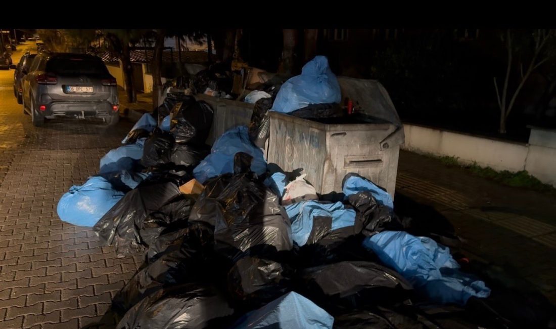 Balıkesir’in Bandırma ilçesinde özel bir hastanenin yanında oluşan çöp yığınları