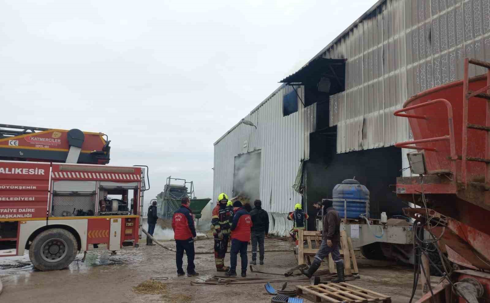 Balıkesir’in Bandırma ilçesine bağlı Külefli Mahallesi’nde bulunan bir çiftlikte henüz