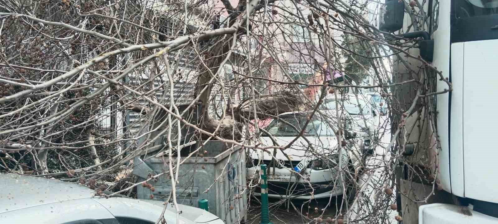 Balıkesir’in Bandırma ilçesinde seyir halinde kamyon çınar ağacına çarpması sonrası