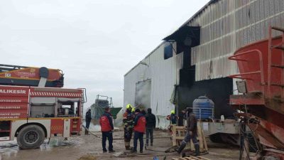 Balıkesir’in Bandırma ilçesine bağlı Külefli Mahallesi’nde bulunan bir çiftlikte henüz